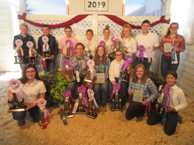 Henry County poultry winners