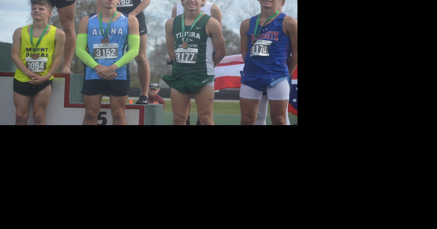 State cross country: Five area runners see podium finishes at Obetz ...