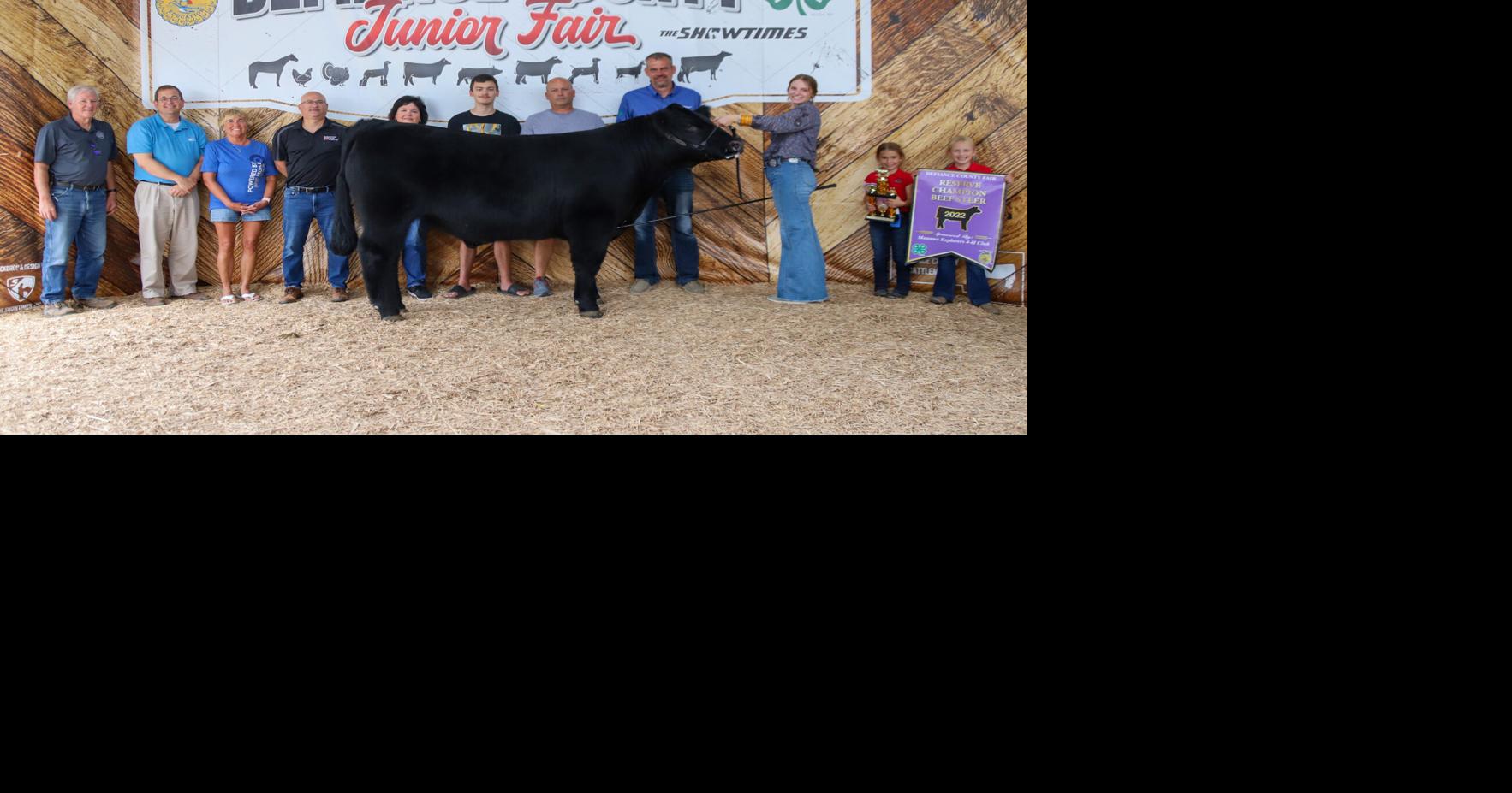 Reserve champion beef steer in Defiance Fairs
