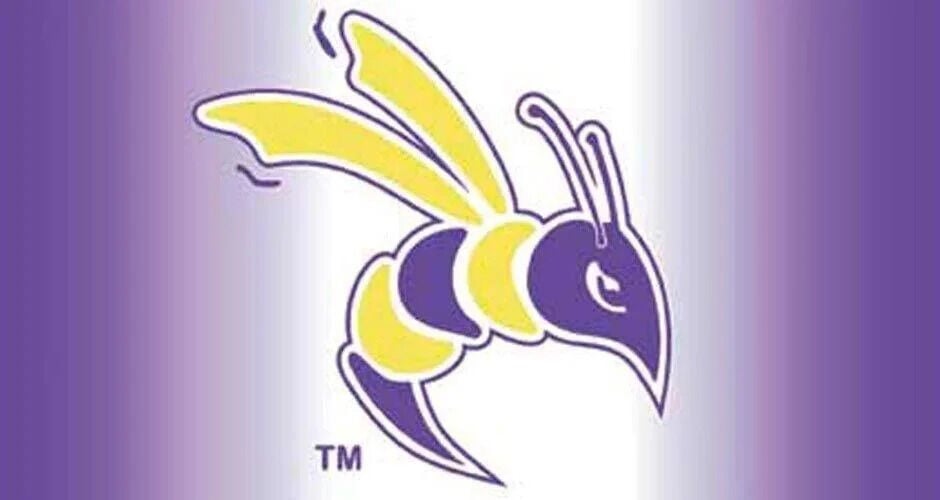 DC Sports: Niyounkunda highlights end of season for XC; Wrestling splits at Rio Grande