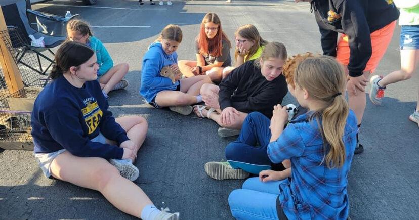 Fairview FFA petting zoo featured at least a dozen animals - Vimarsana News