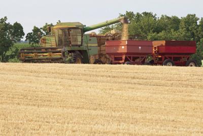 Wheat The Water Quality Crop Local Farm Crescent News Com