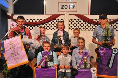 Beef steer awards