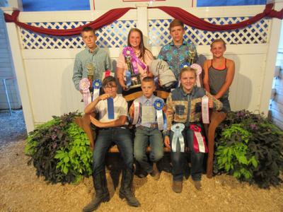 HCF sheep winners 1