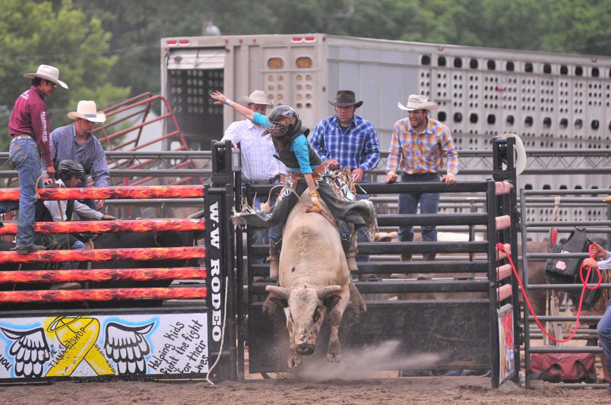 Paulding County Fair begins June 11 Local News