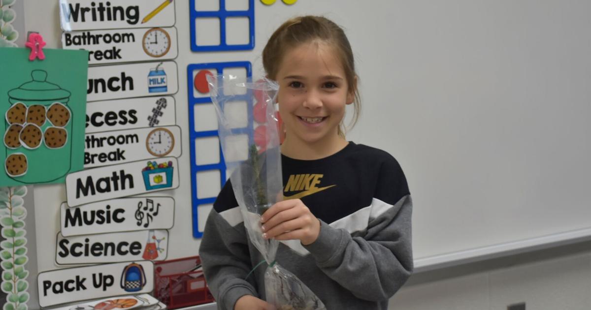 Every first-grader gifted a tree in Defiance County | Local News ...