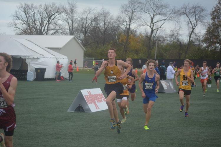 State cross country: Five area runners see podium finishes at Obetz ...