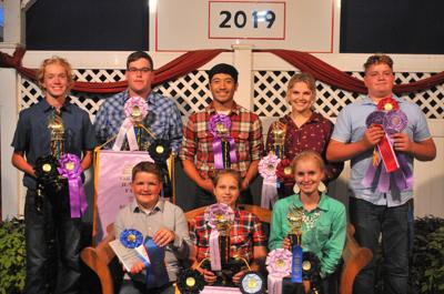 Beef show winners
