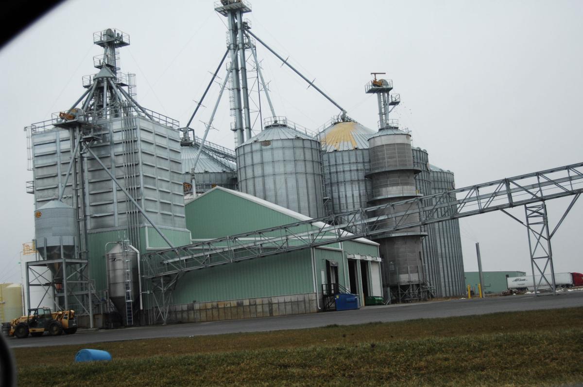 'Egg'spansion time Local Farm