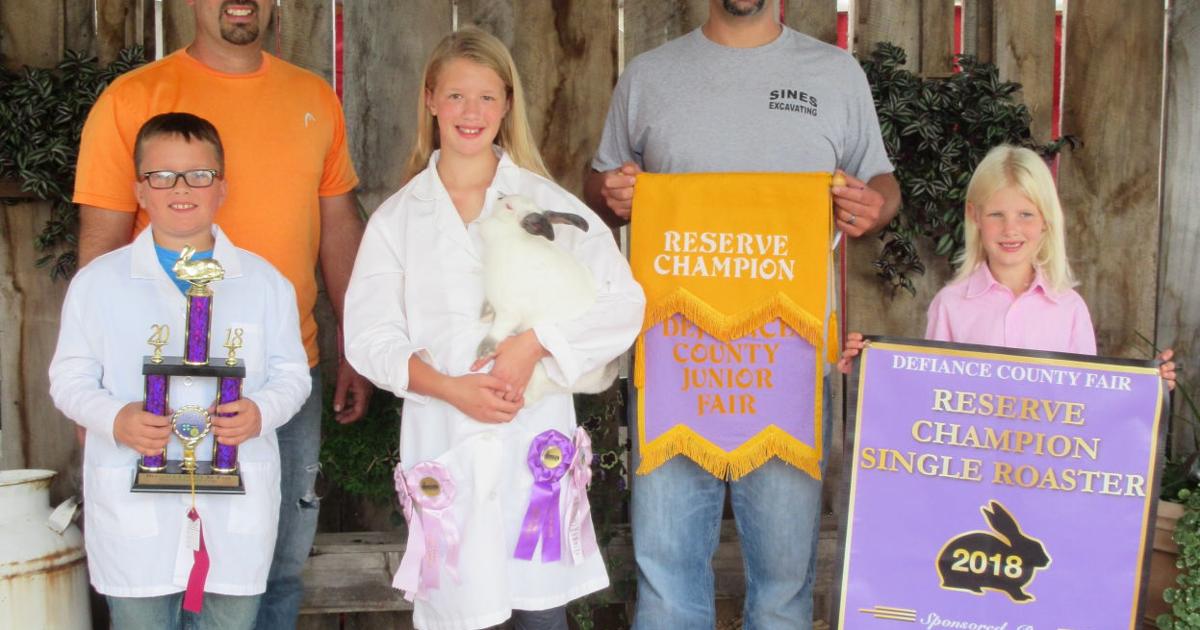 Reserve champion roaster rabbit sells for $550 | Local Farm | crescent ...
