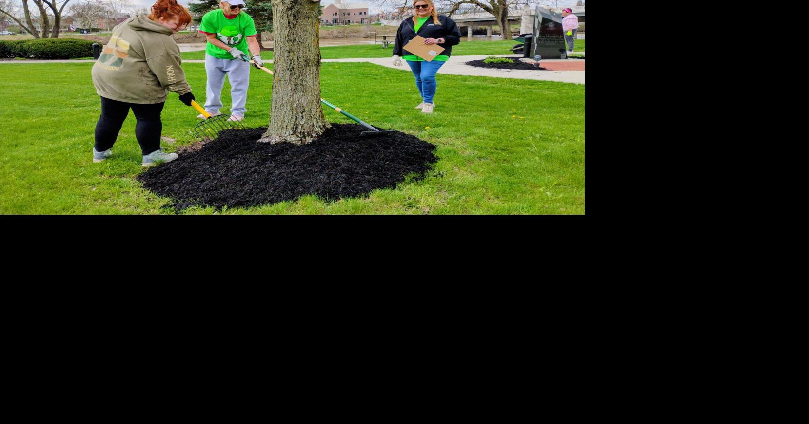 Mulching work