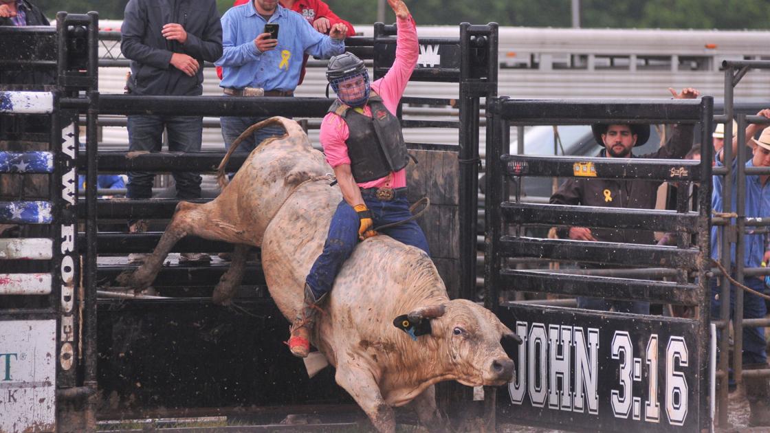 Paulding County Kicks Off Ohio S Fair Season June 12 19 Local Events Crescent News Com Paulding County Fair 2022