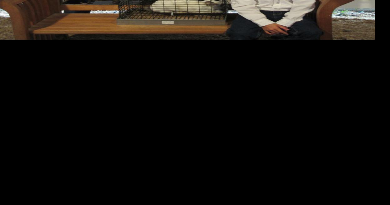 Reserve champion single roaster rabbit sells for 325 in Napoleon