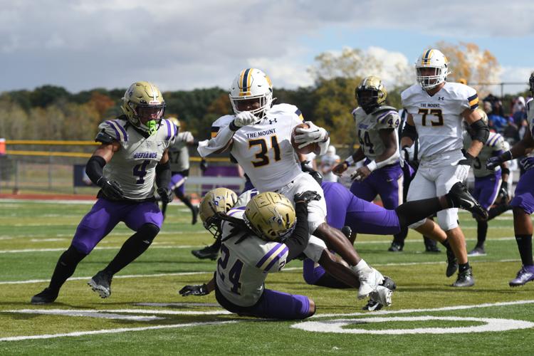 MSJ Lions Football