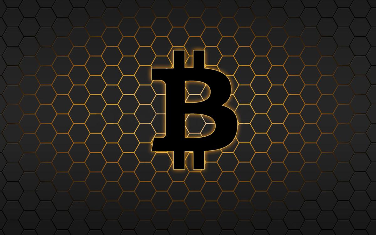 Is crypto the future? Governments are already making their move | News |  crimson.fit.edu