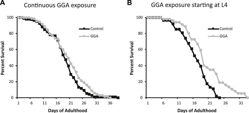 Extending lifespan in C. elegans | Science & Technology | crimson.fit.edu