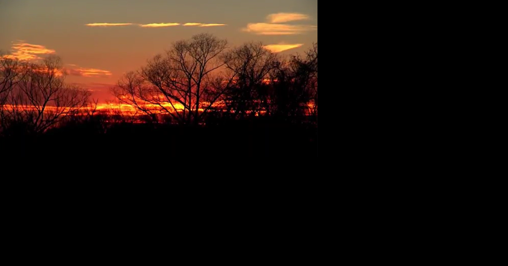 Winter’s quiet art gives way to spring