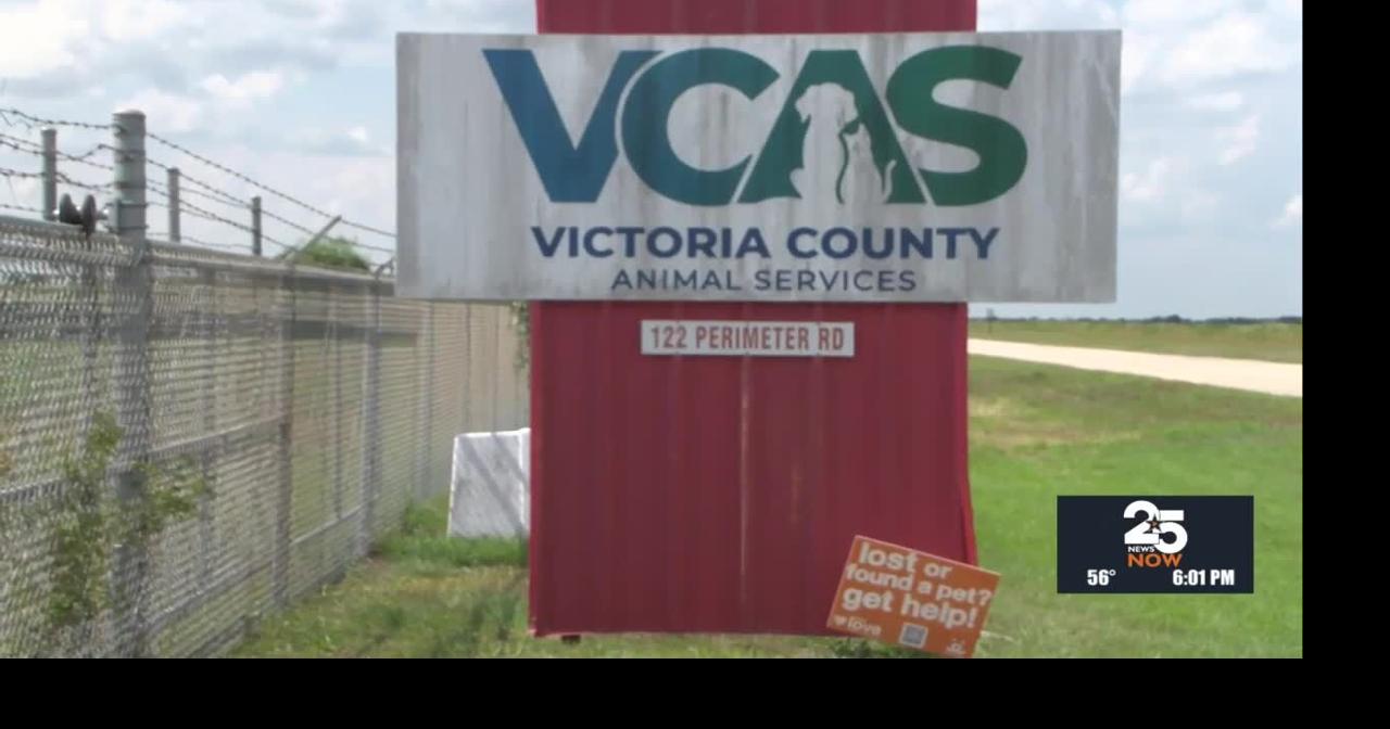 Changes to animal services leadership in Victoria County | Local News ...