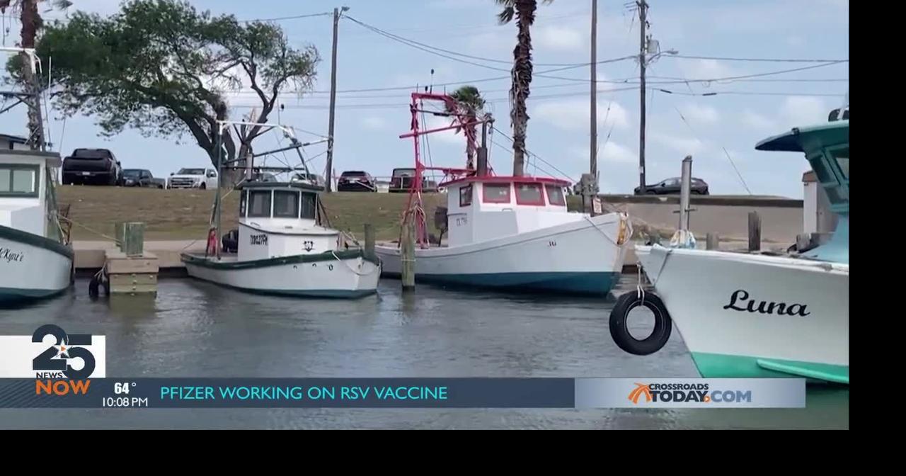 Three oyster bays closed may have a strong impact on the oyster