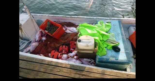 Coast Guard seizes more than 4,500 lbs of fish, shark from lancha