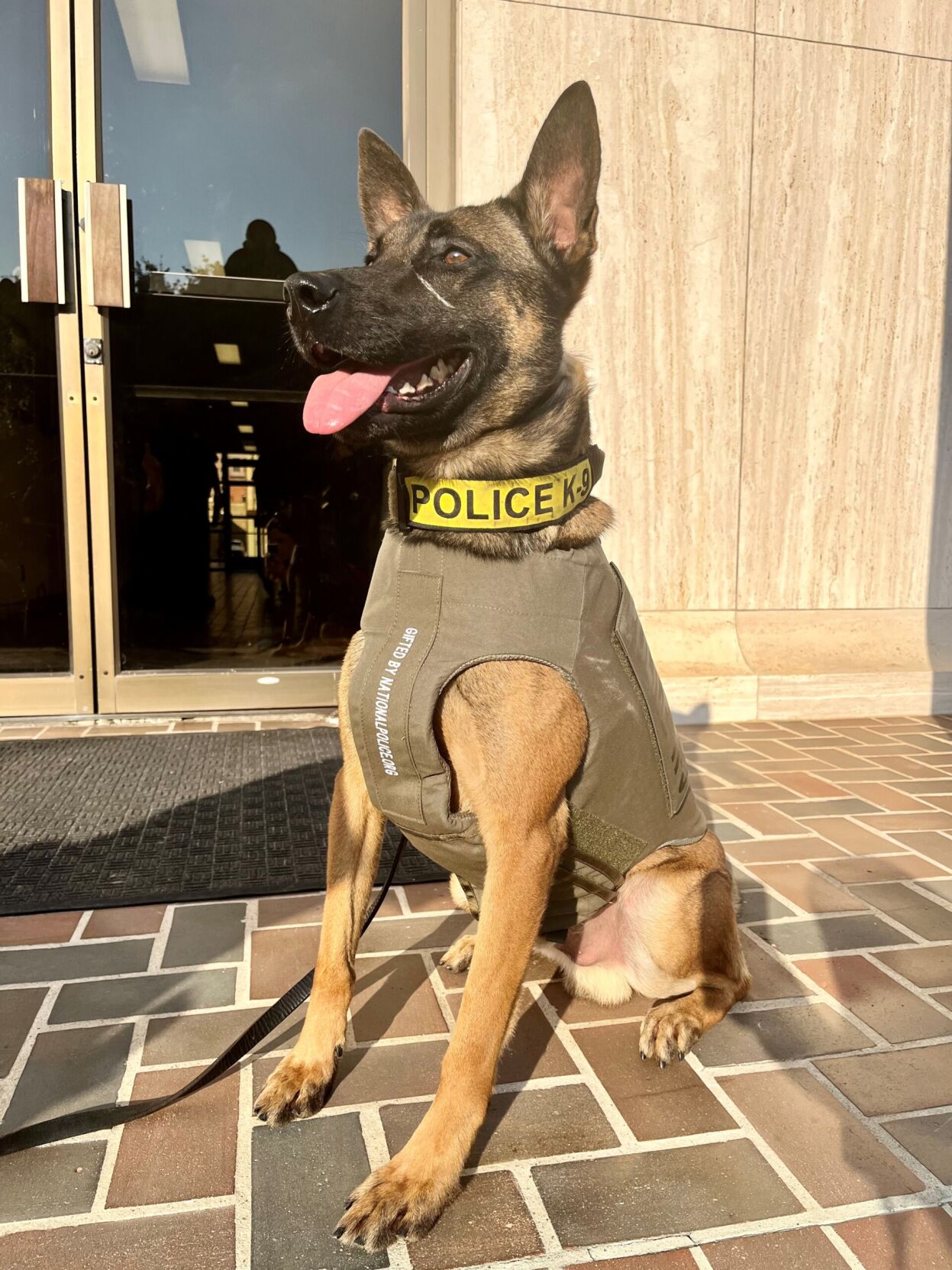 K9 is gifted new body armor