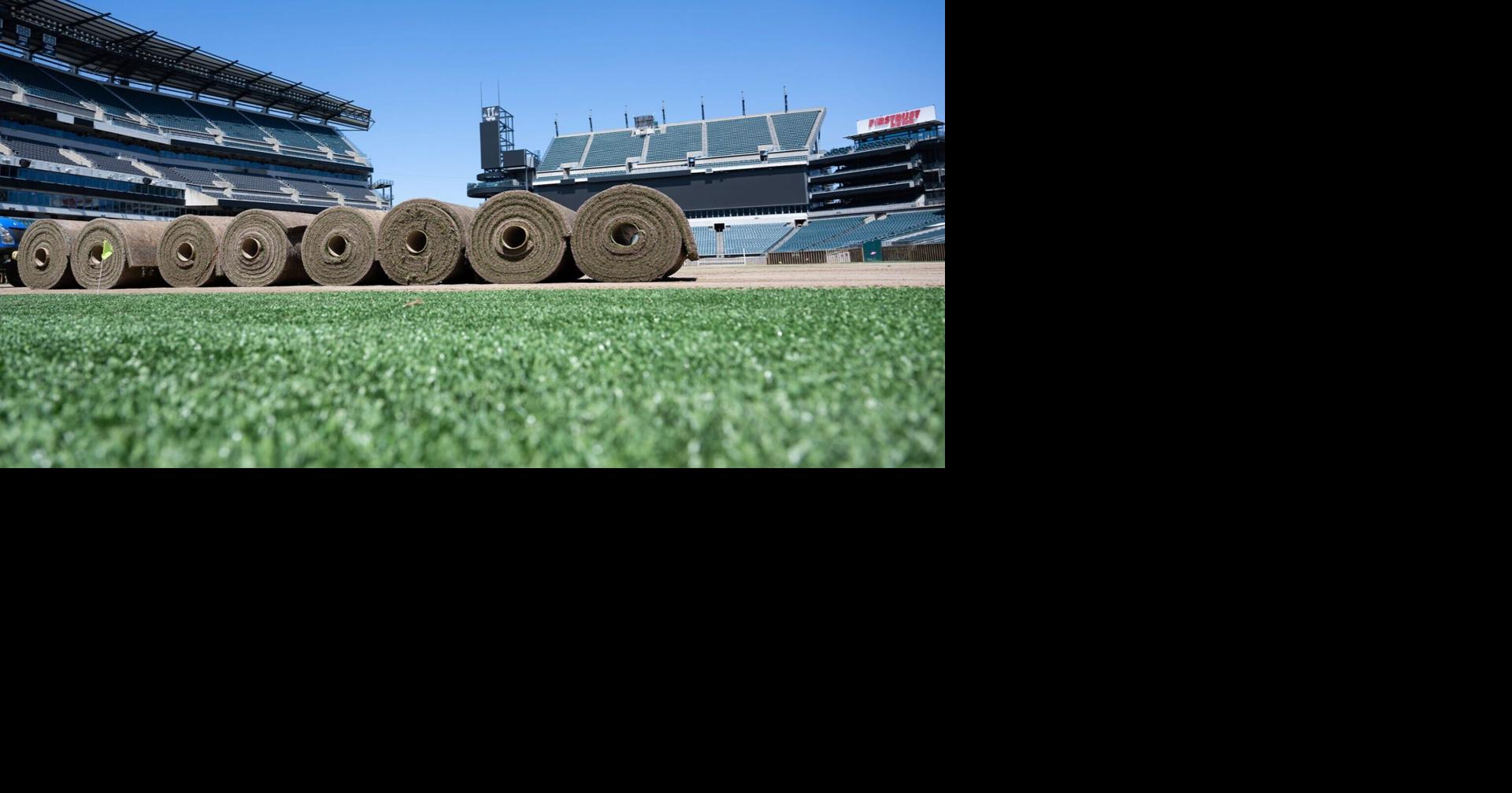 World Cup matches will be played on turf developed at Rutgers