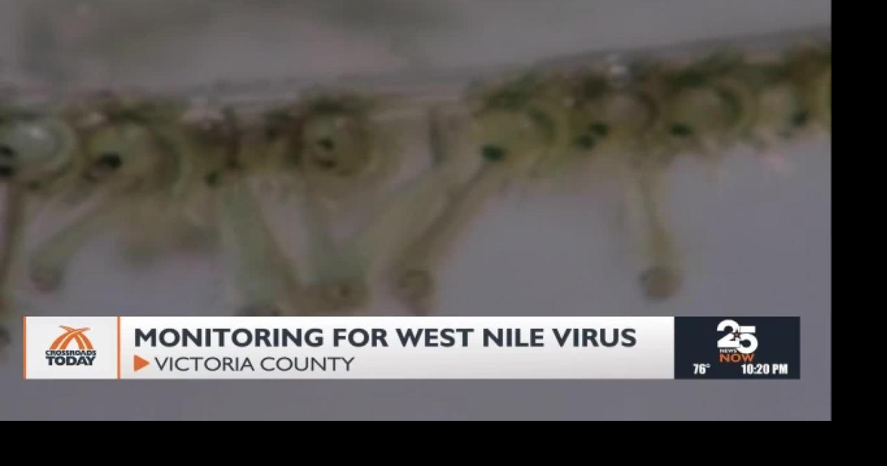 Victoria County Health Department monitors mosquito population for West Nile
