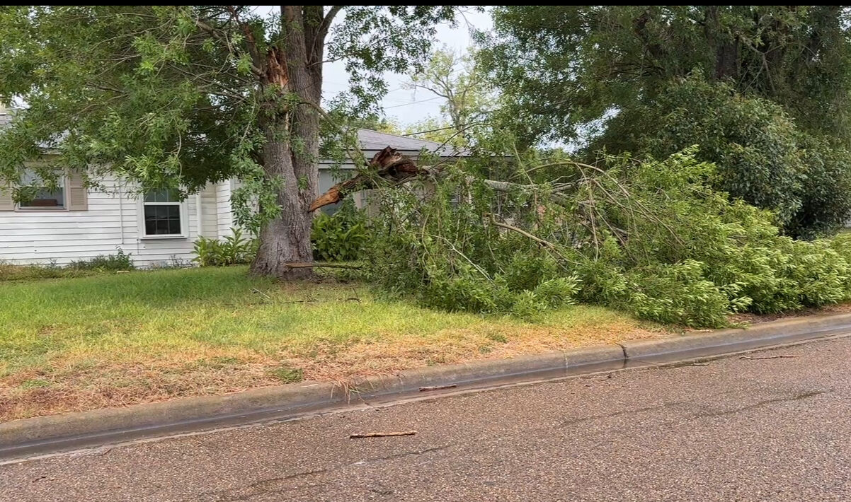 Monday afternoon storms result in power outages and numerous limbs to fall | News ...