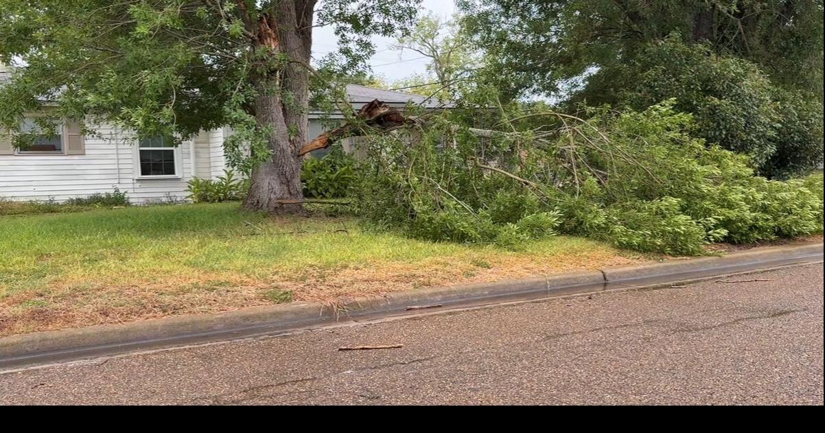 Monday afternoon storms result in power outages and numerous limbs to ...