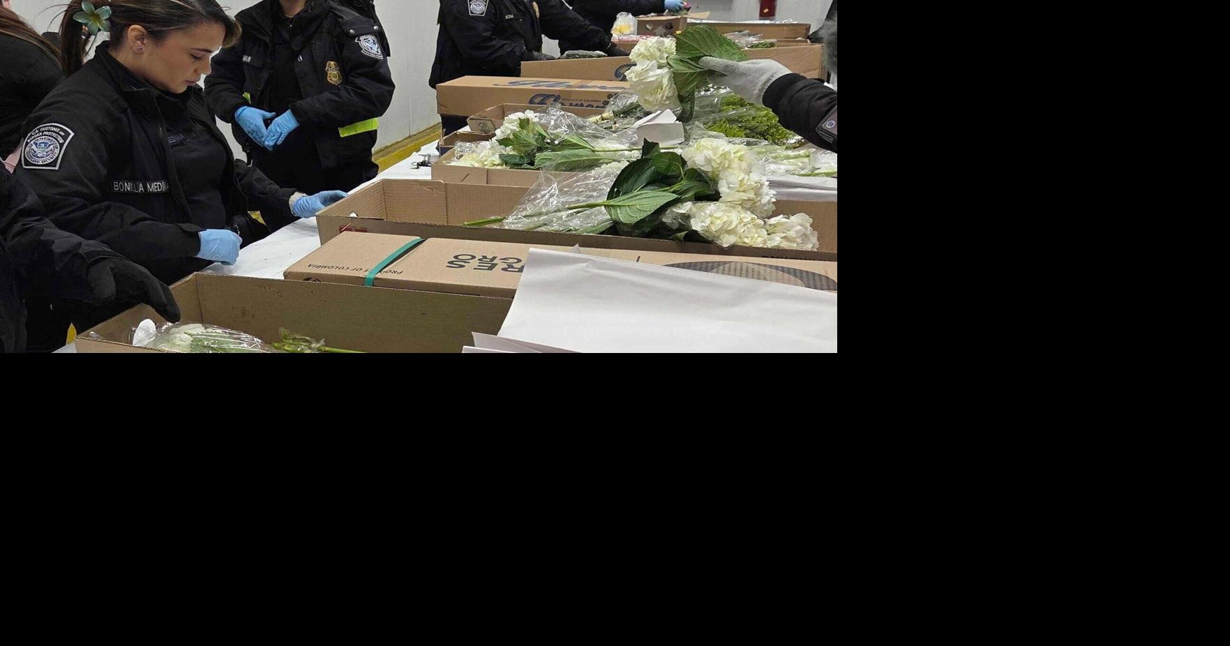 Valentine flower imports increase at Miami airport, despite tariffs and higher costs