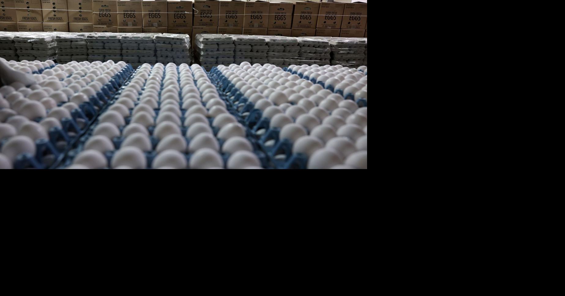 Texas AG secures settlements forcing egg producers to donate 7 million eggs to food banks