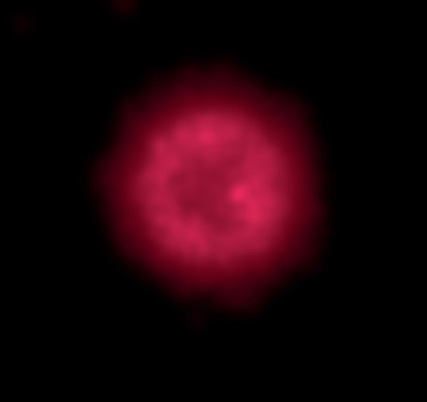 66bb606377134.image.jpg?crop=