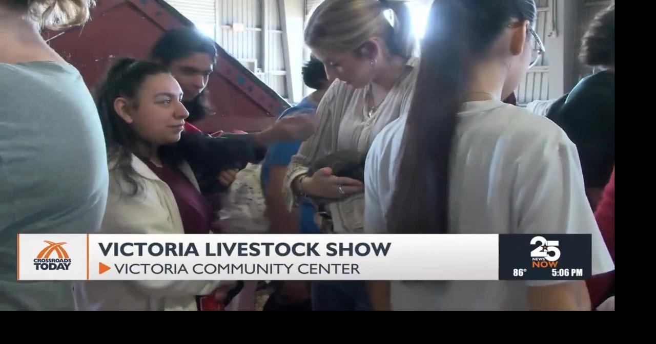 Victoria Livestock Show celebrates 80 years with petting zoo and career exhibits