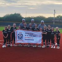 Industrial Minor girls Little League wins Dstrict 27 championship