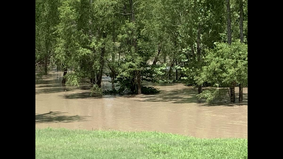 Guadalupe River at flood levels in Victoria County Local News