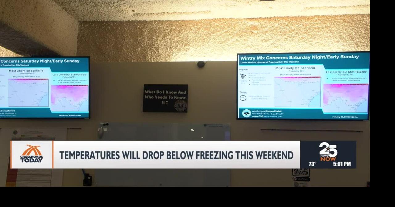 Residents advised to bring pets indoors protect pipes and plants from ...