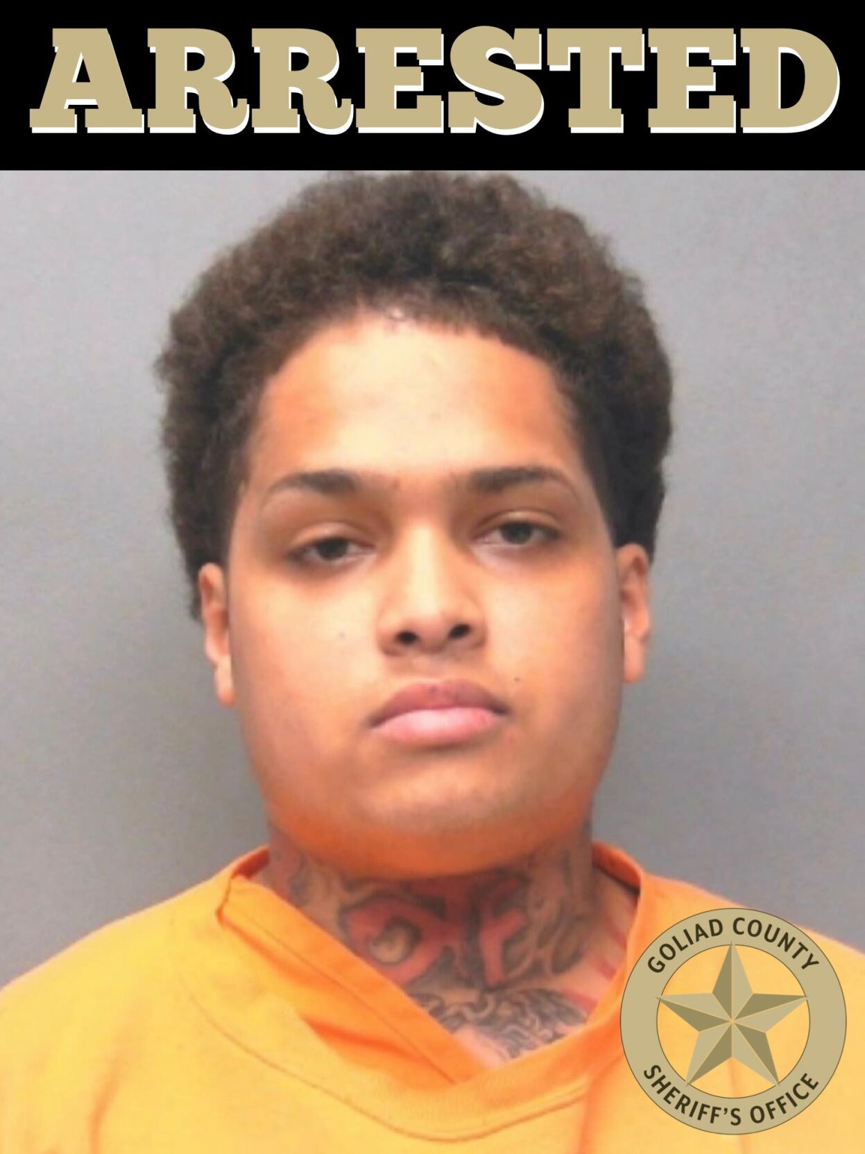 Goliad County Jail Inmate Search 3 arrested in Goliad for evading arrest and organized criminal activity
