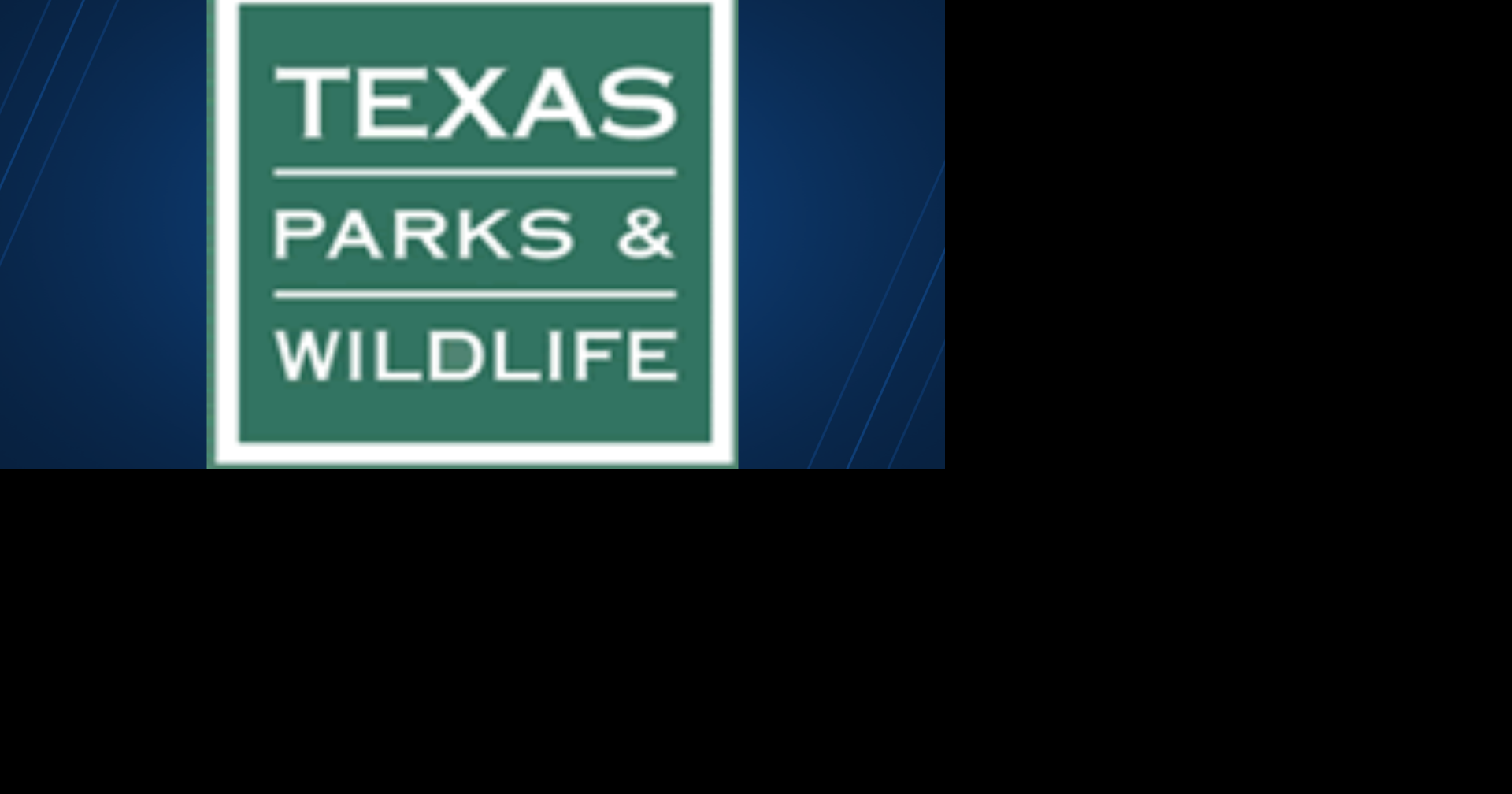 Texas dove hunting season opens Sept. 1 with record bird populations