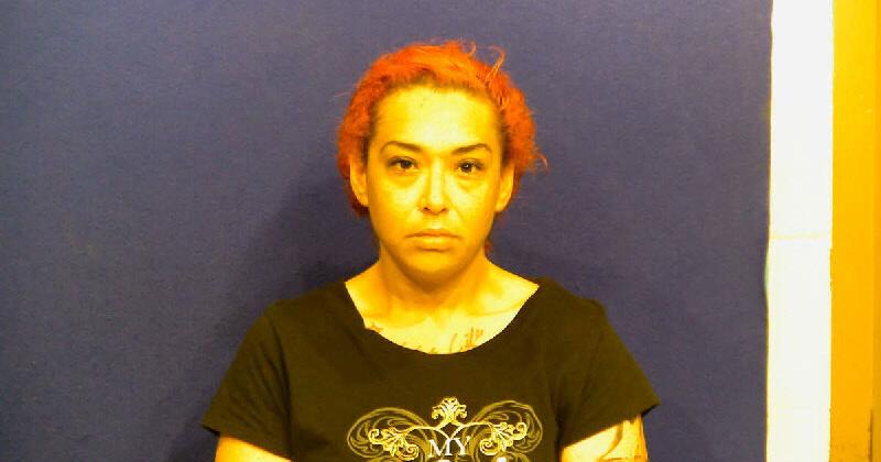 Woman arrested on charges of child endangerment | Local News ...