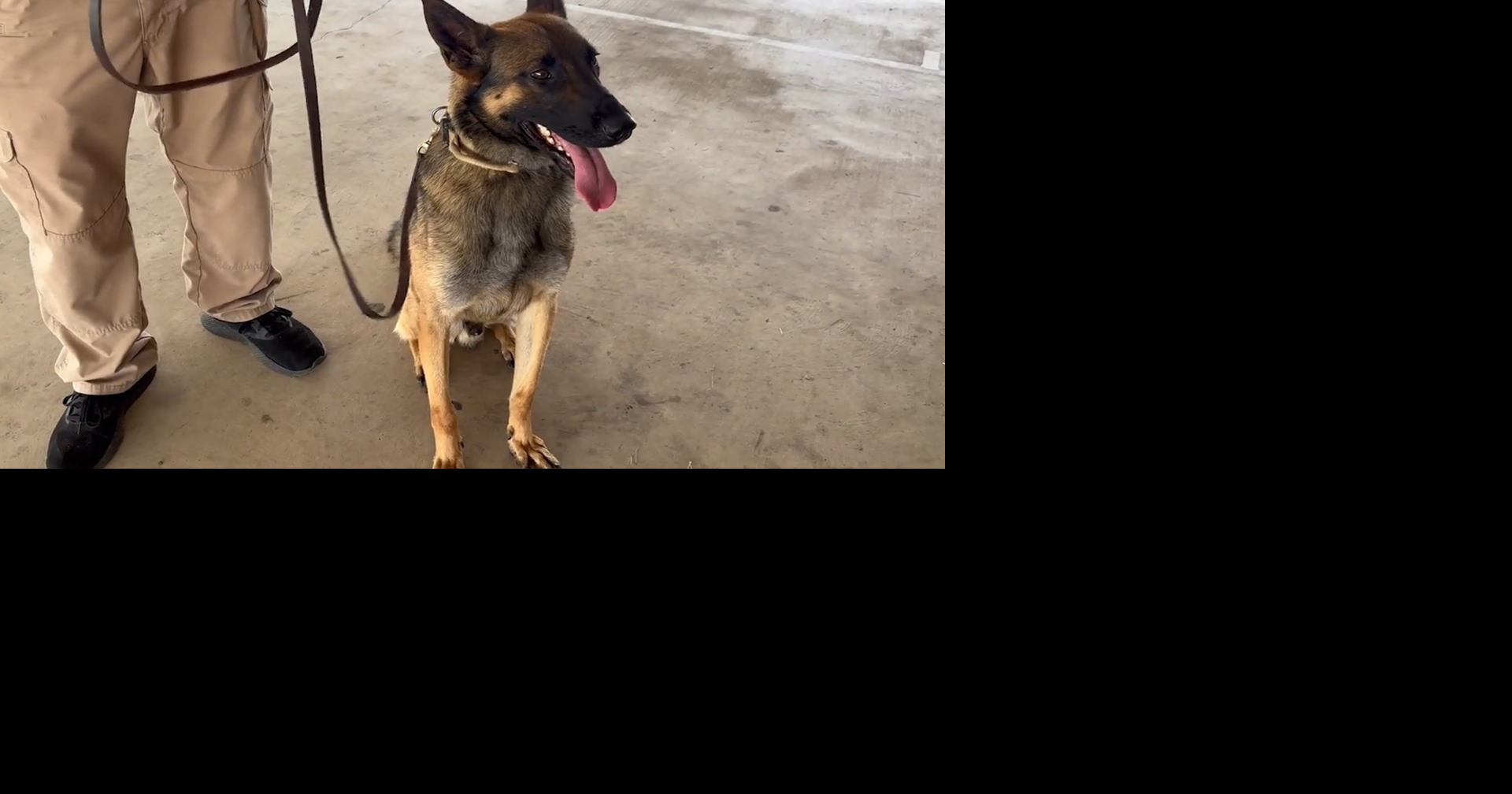 School district enhances safety efforts with addition of trained police dog