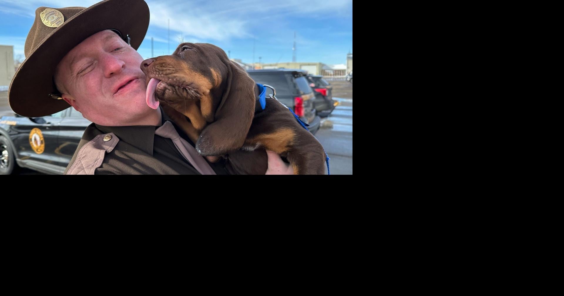 In a high-tech age, bloodhounds still lead the way in missing-person searches