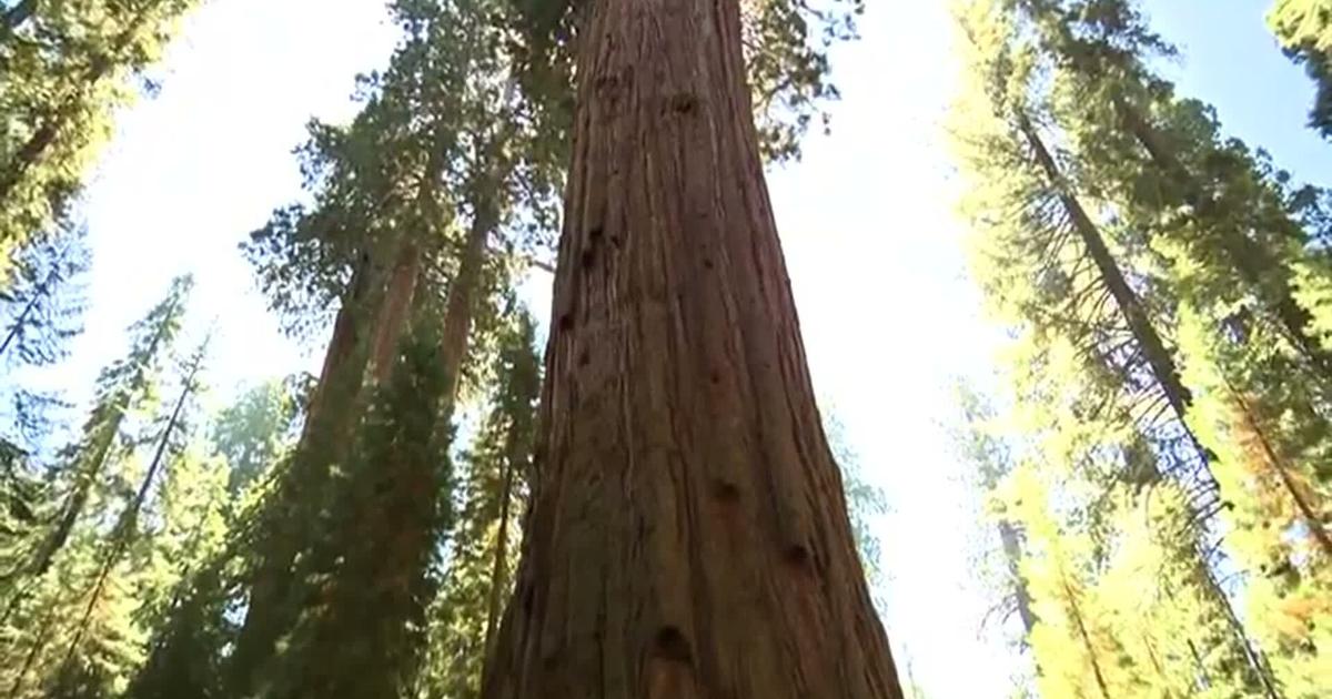 RAW: FILE: US FOREST SERVICE FINDS $16M IN SAVINGS