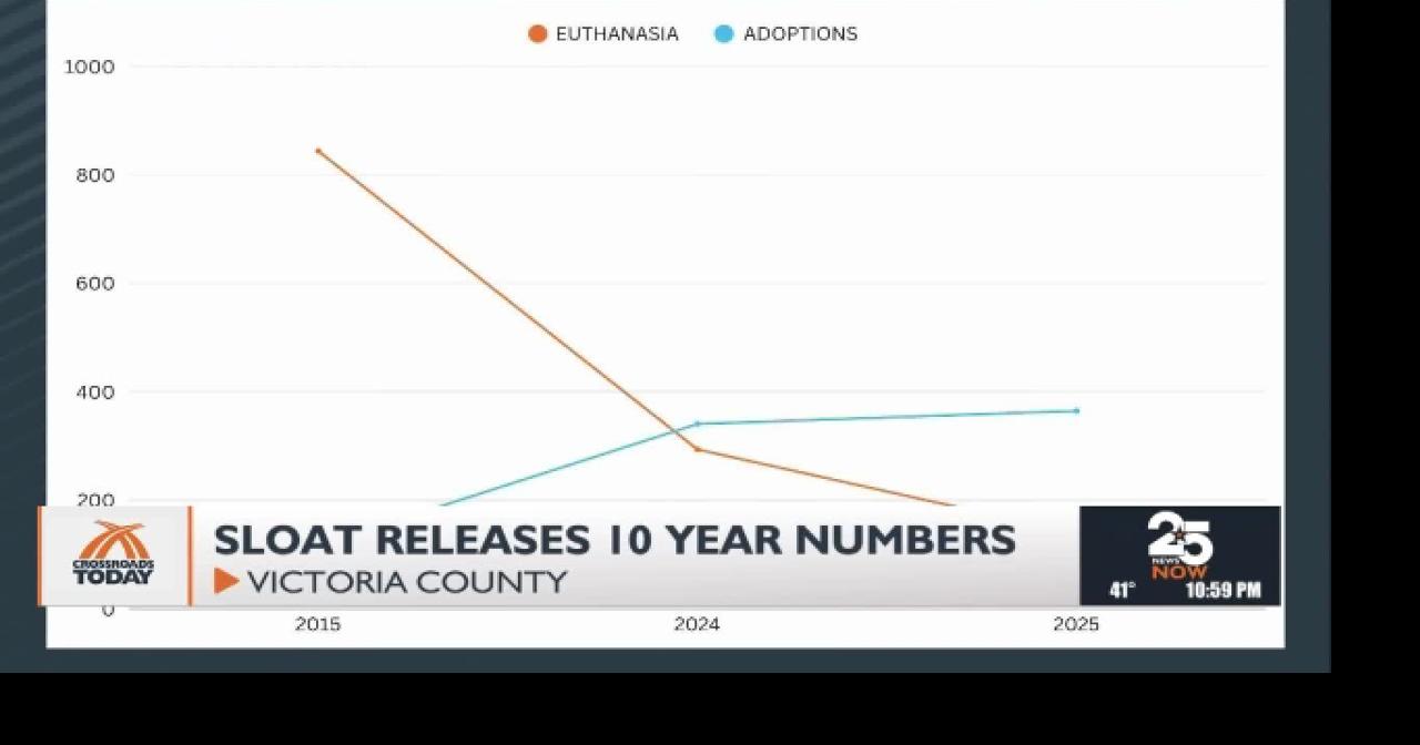 VCAS reports improving numbers for intake, adoptions | Local News ...