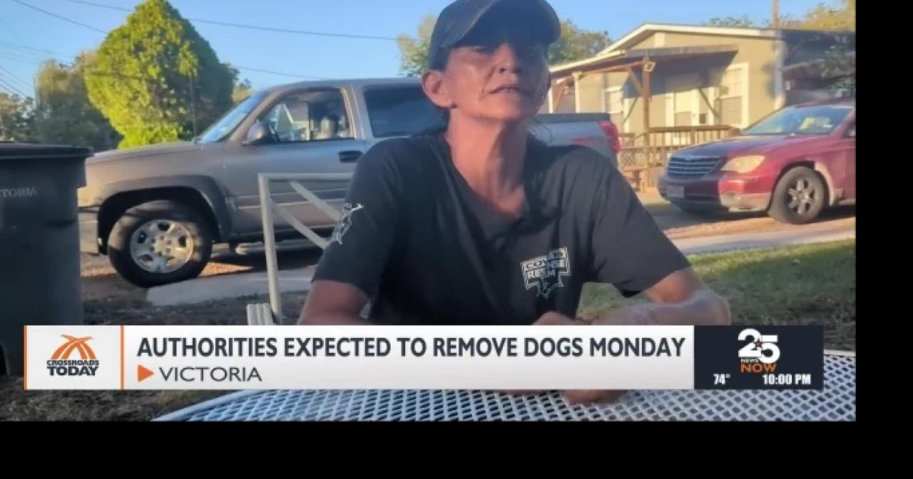 Victoria woman heartbroken after pack of dogs kills her pet | News ...