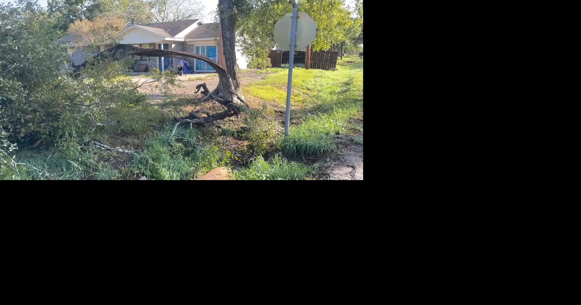 Edna making progress cleaning up after Monday night's storm News