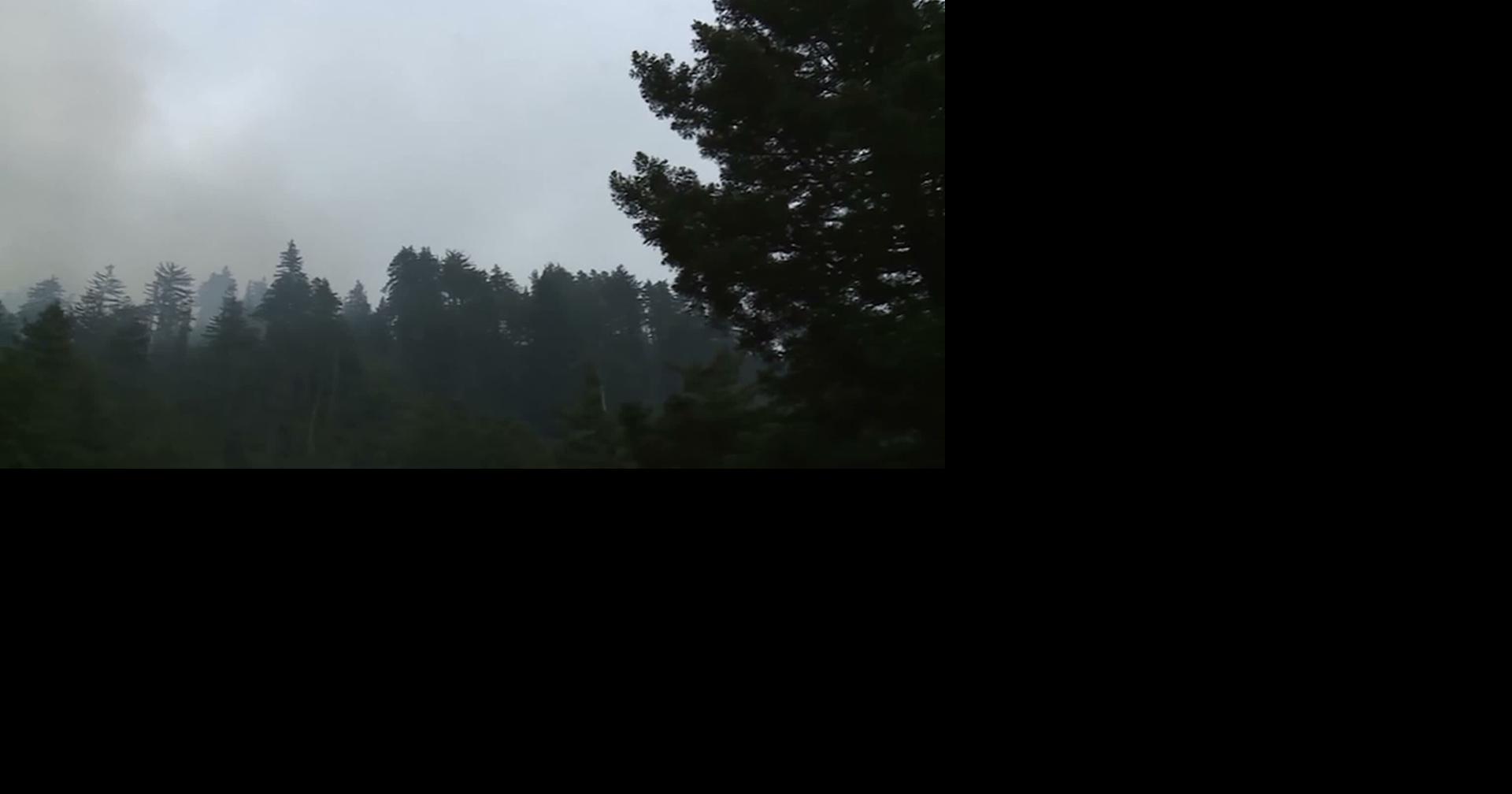CA: TIMBER FIRE LESSENS ALONG SCENIC BIG SUR