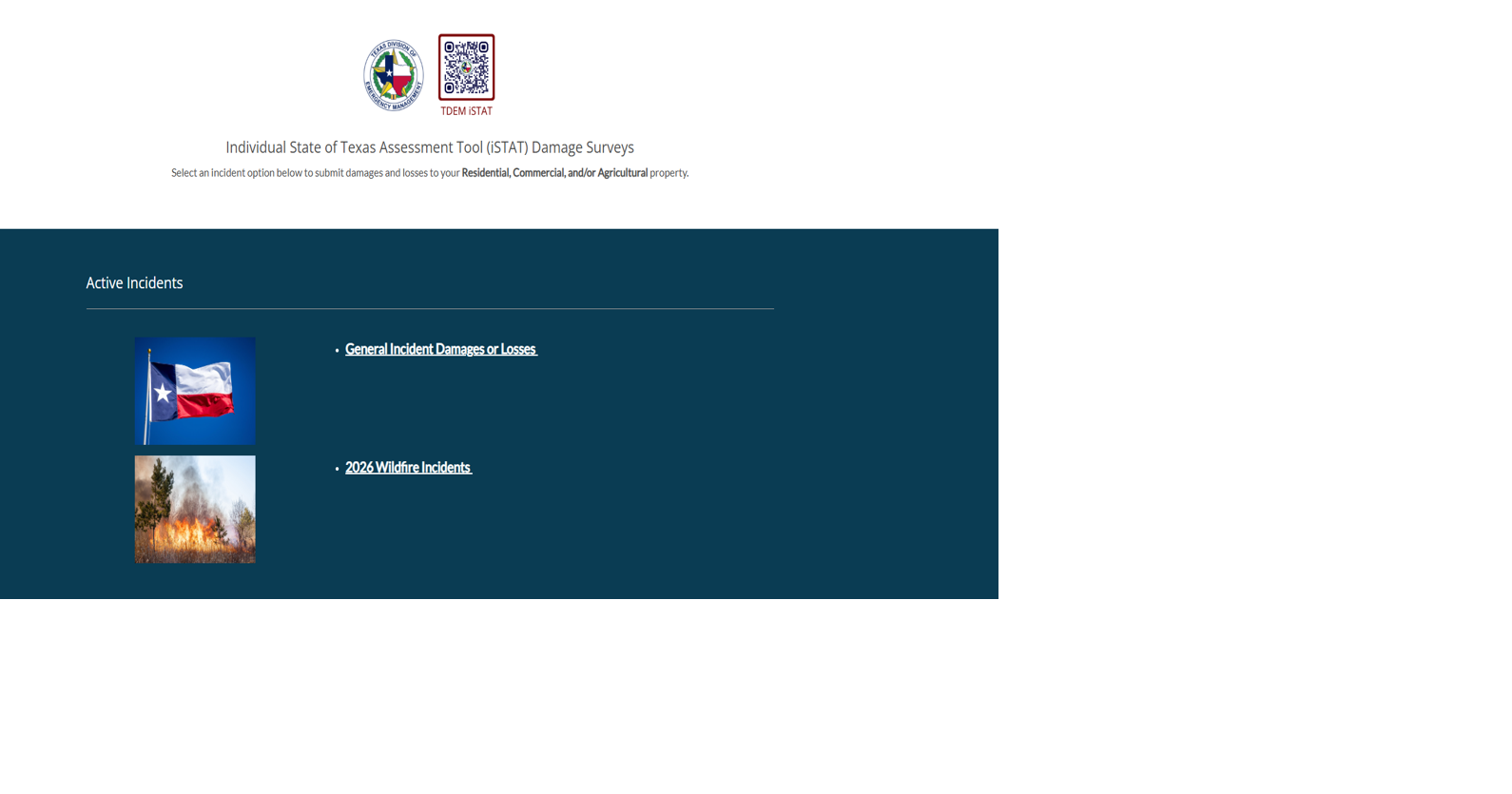 Texans urged to report storm damage through state assessment tool ...
