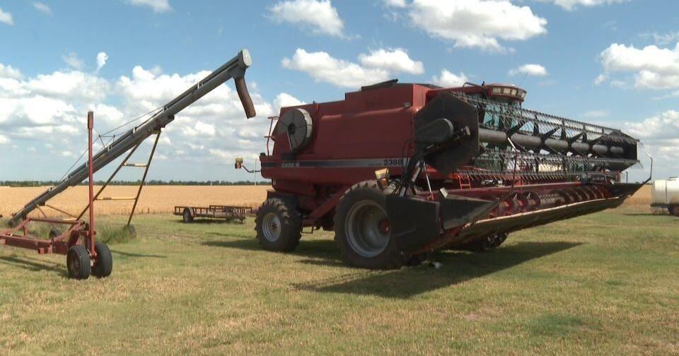Kansas farmers face tough wheat season amid drought, rising costs