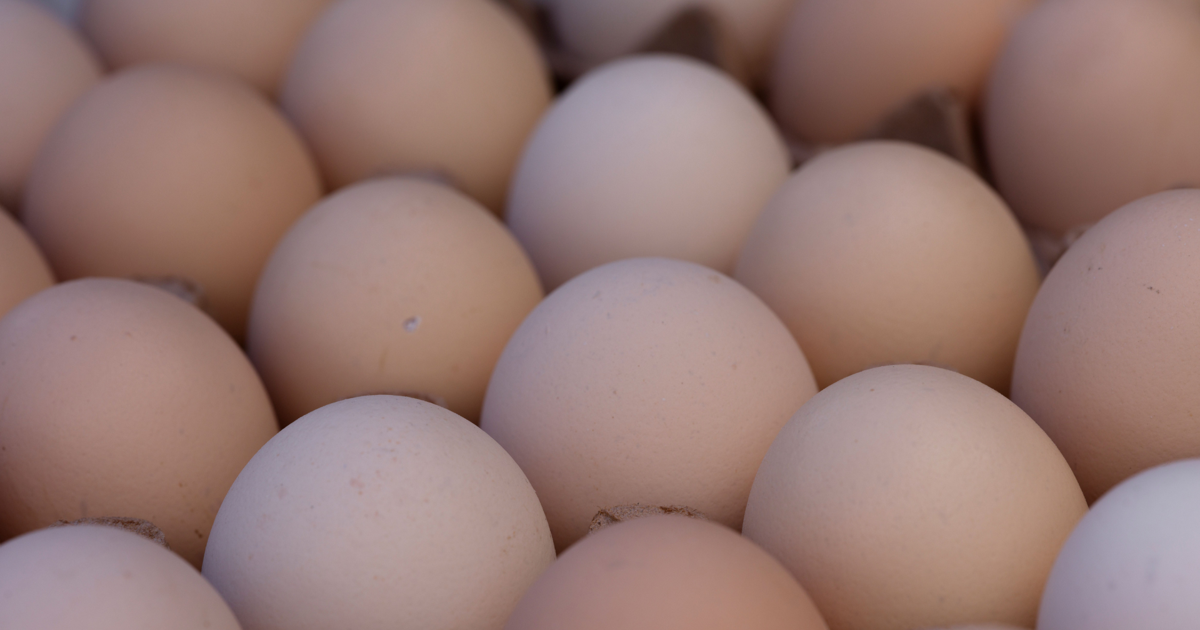 Food Bank of the Golden Crescent to receive 1,200 dozen eggs