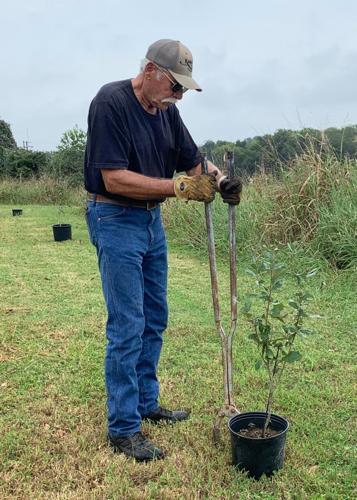 Hallet Oak Foundation Friends plant native trees along Lavaca River ...